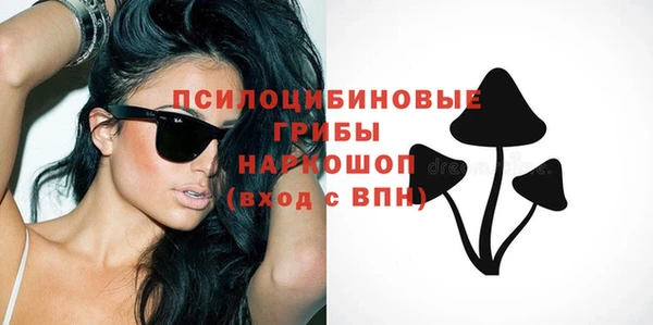 прущая мука Аша