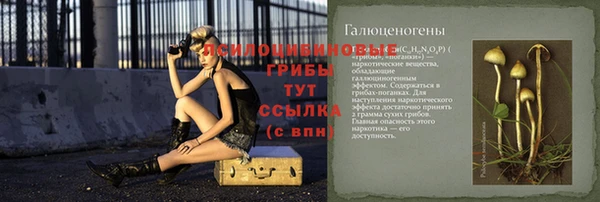2c-b Белокуриха