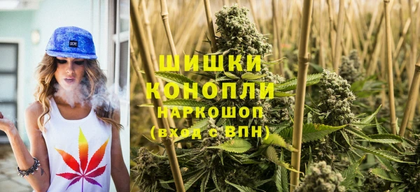 прущие грибы Белоозёрский