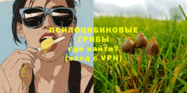 прущие грибы Белоозёрский