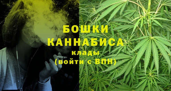 прущие грибы Белоозёрский
