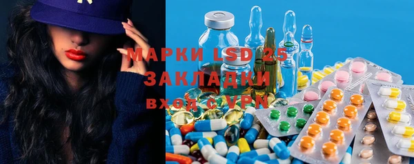 прущие грибы Белоозёрский